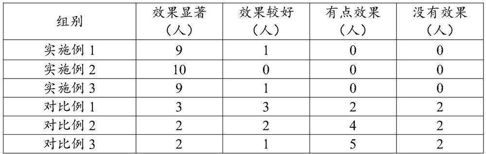 Traditional Chinese medicine toothpaste and preparation method thereof