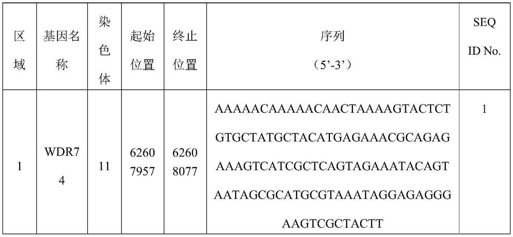 Kit for predicting postoperative survival time of lung squamous carcinoma patient and application of kit