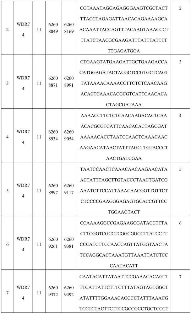 Kit for predicting postoperative survival time of lung squamous carcinoma patient and application of kit