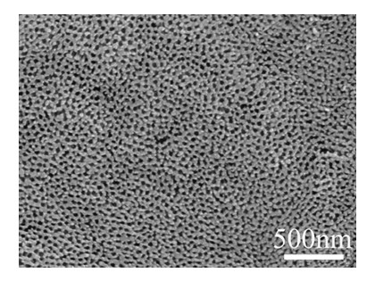 Growing method and application of semi-metallic titanium dioxide nanotube array film