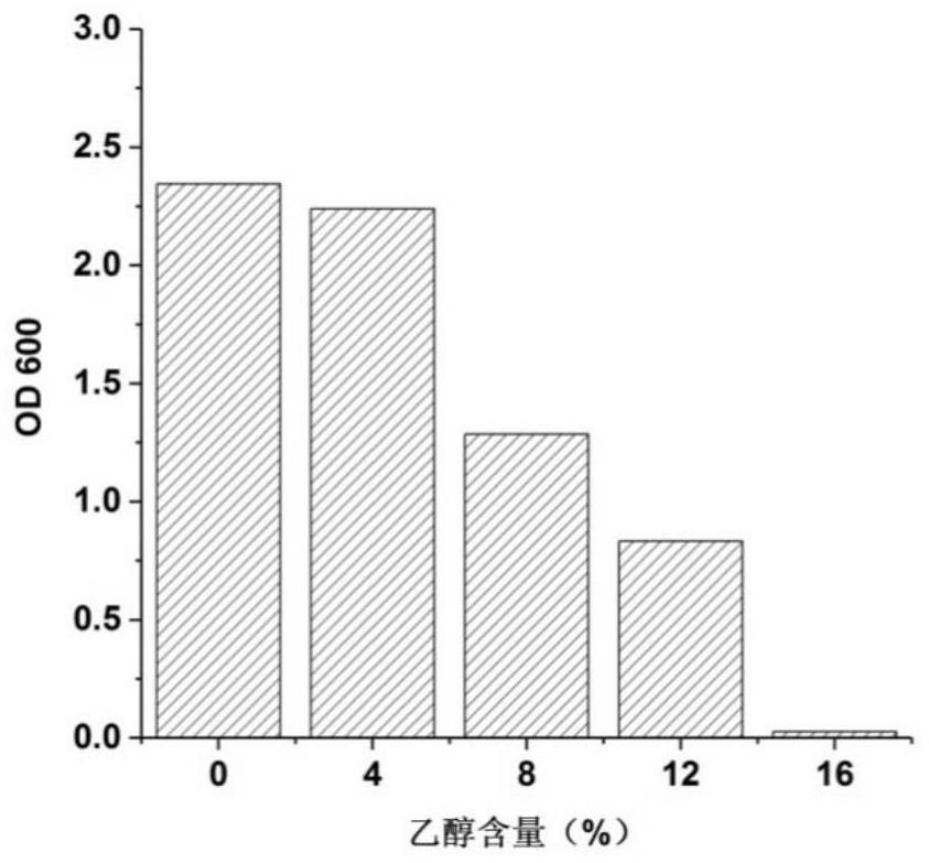 A Pichia anomaly producing ethyl acetate and its application