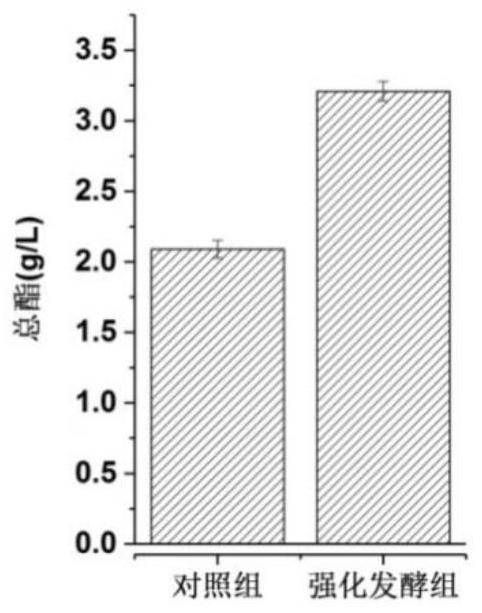 A Pichia anomaly producing ethyl acetate and its application