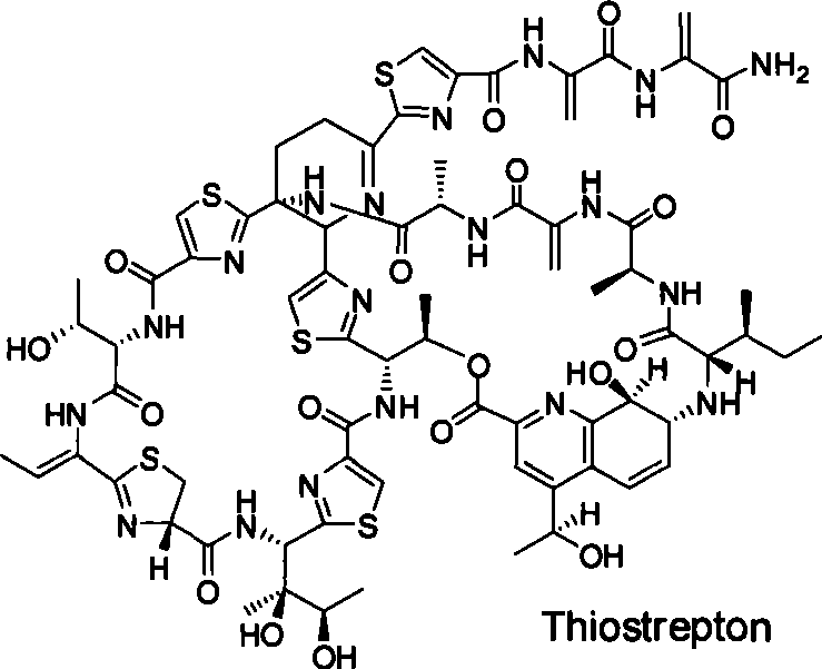 Thiostreptone biosynthetic gene cluster