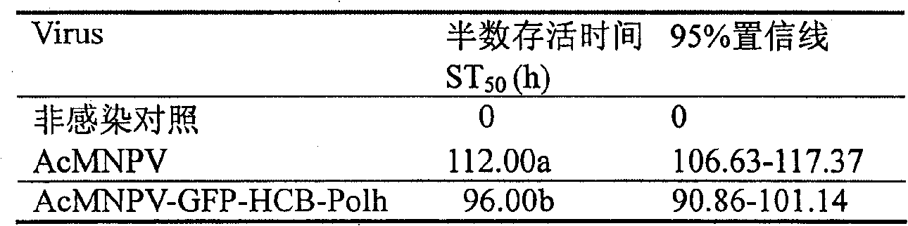 Producing method of gene recombination nucleopolyhedrosis virus pesticide and application thereof