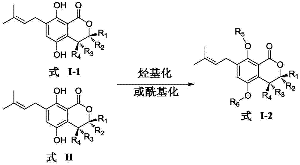 Gorgonian-originated fungus secondary metabolite derivatives and application of same as antiseptics