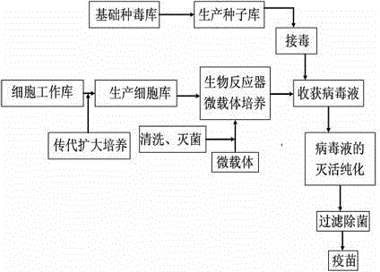 Cell production method for influenza virus vaccine