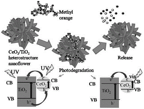 CeO2 / TiO2 heterojunction nano flower preparation method