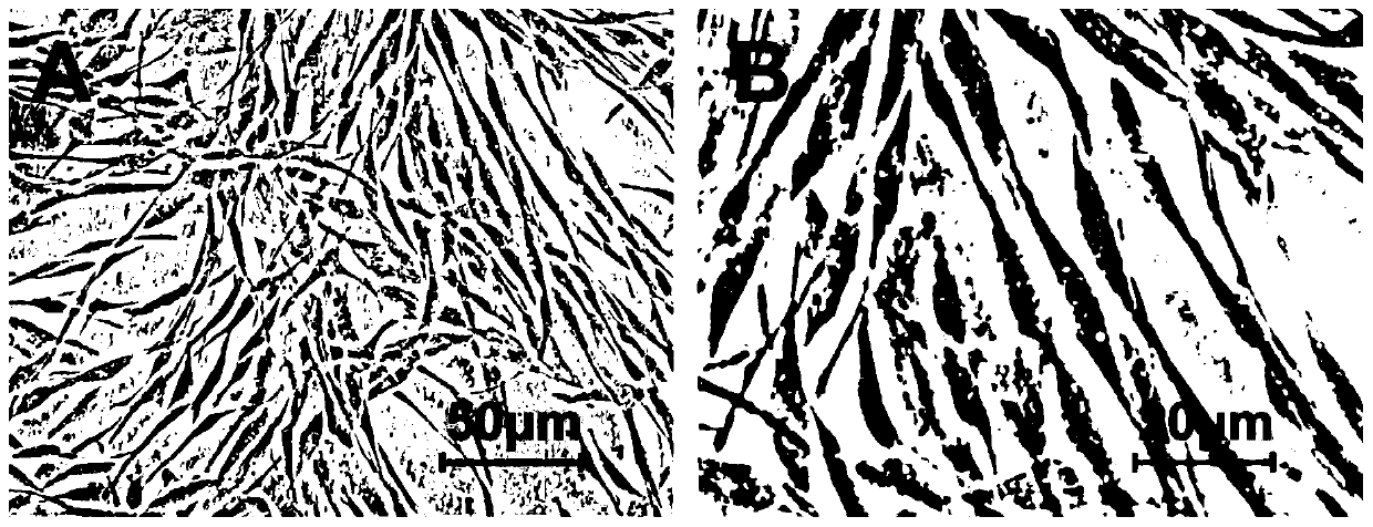 Isolation method of stem cell exosomes