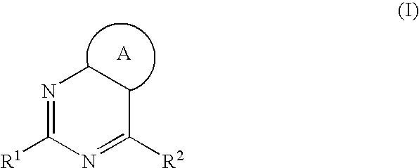 Aromatic-Ring-Fused Pyrimidine Derivative