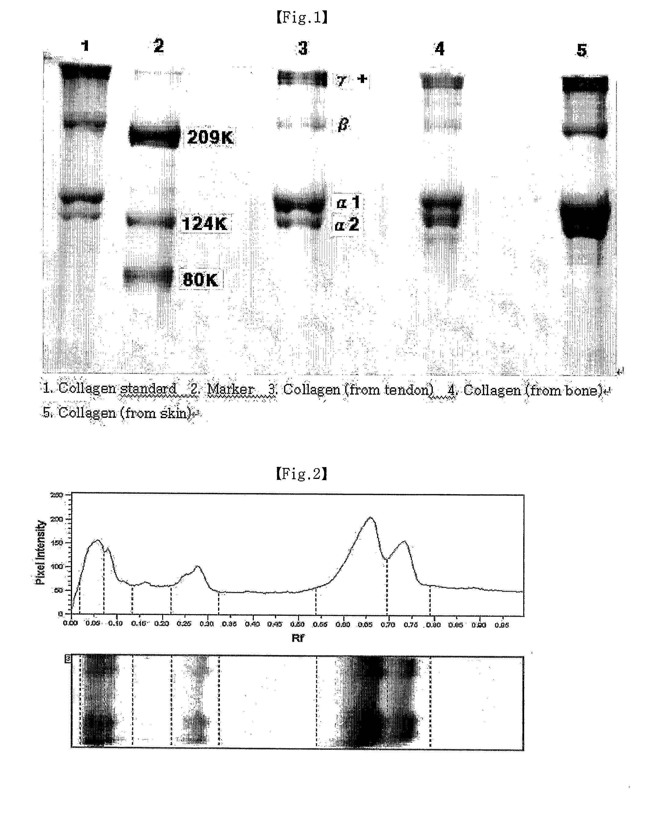 Method of Separating Collagen From the Various Animal Tissues for Producing Collagen Solution and Product Using the Same