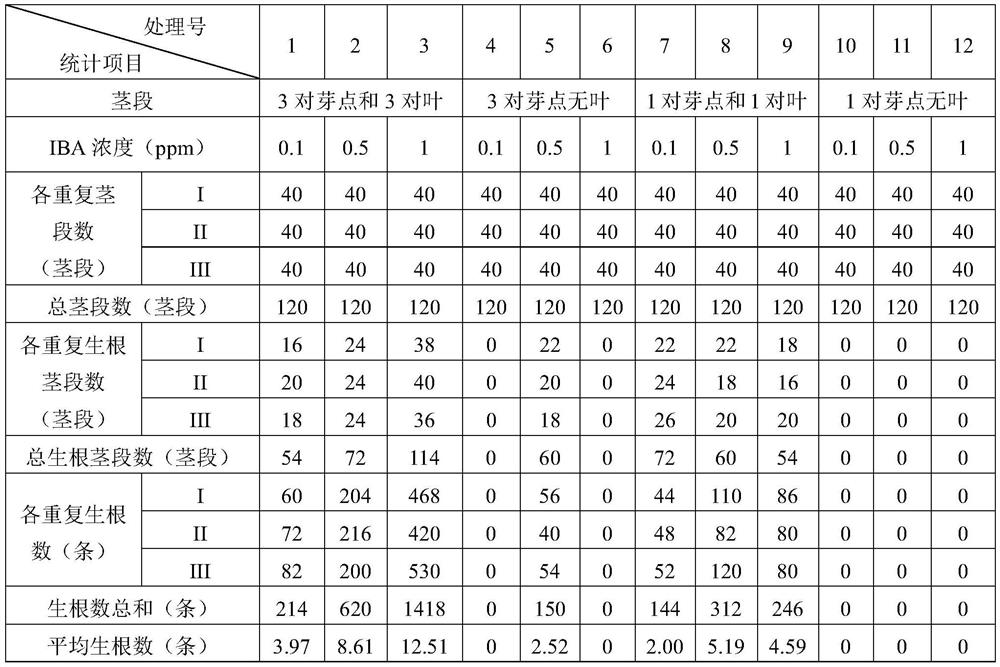 A kind of Jin Tiesuo hydroponic rapid rooting method