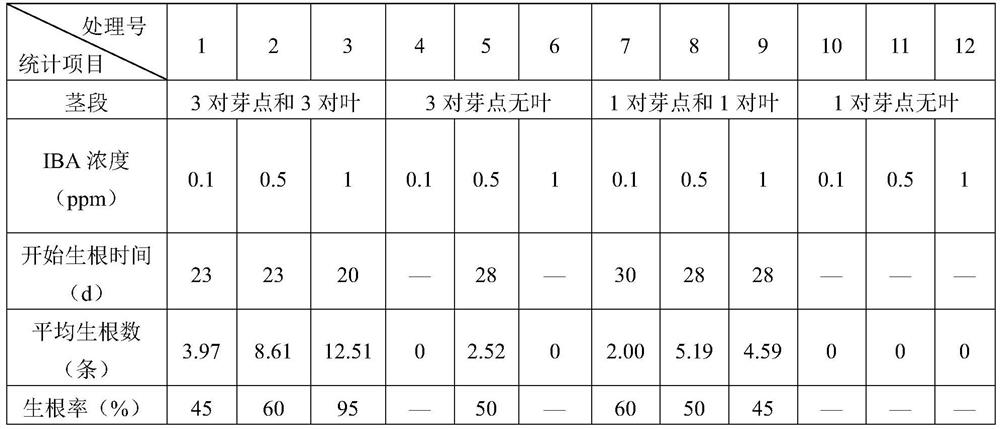 A kind of Jin Tiesuo hydroponic rapid rooting method