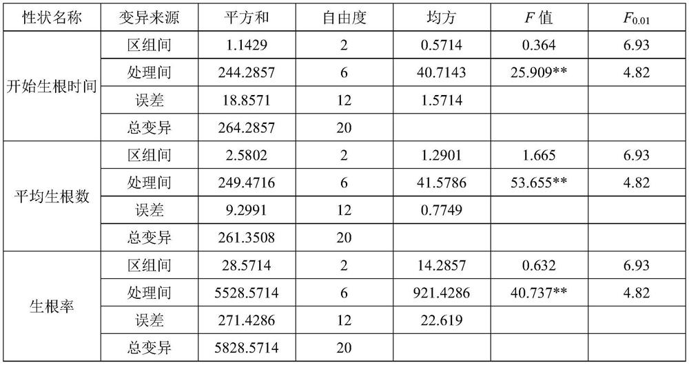 A kind of Jin Tiesuo hydroponic rapid rooting method