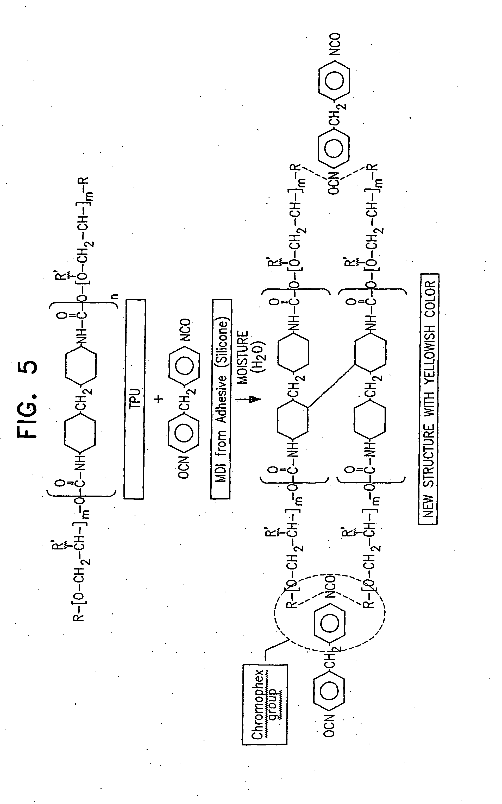 Pet as edge seal for multilaminated compositions