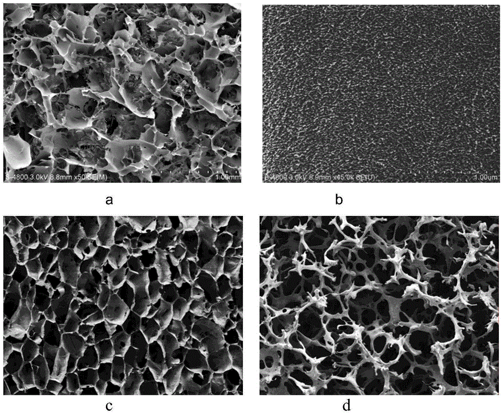 Silk protein scaffold material and preparation method thereof