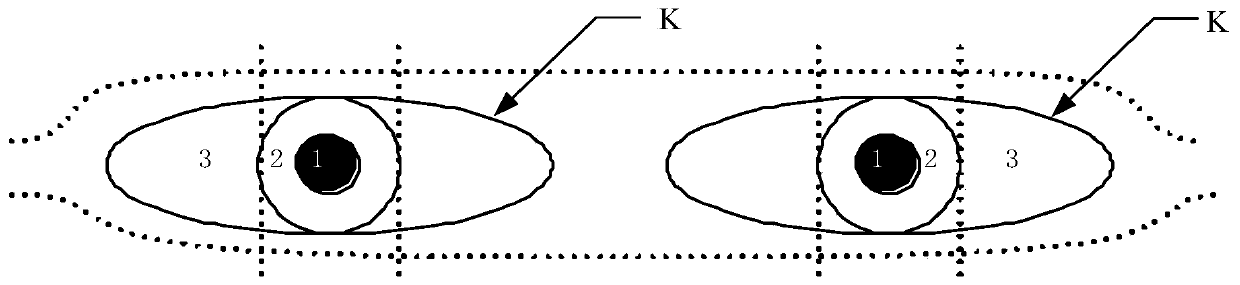 Vehicle rearview mirror, image display method, vehicle and storage medium