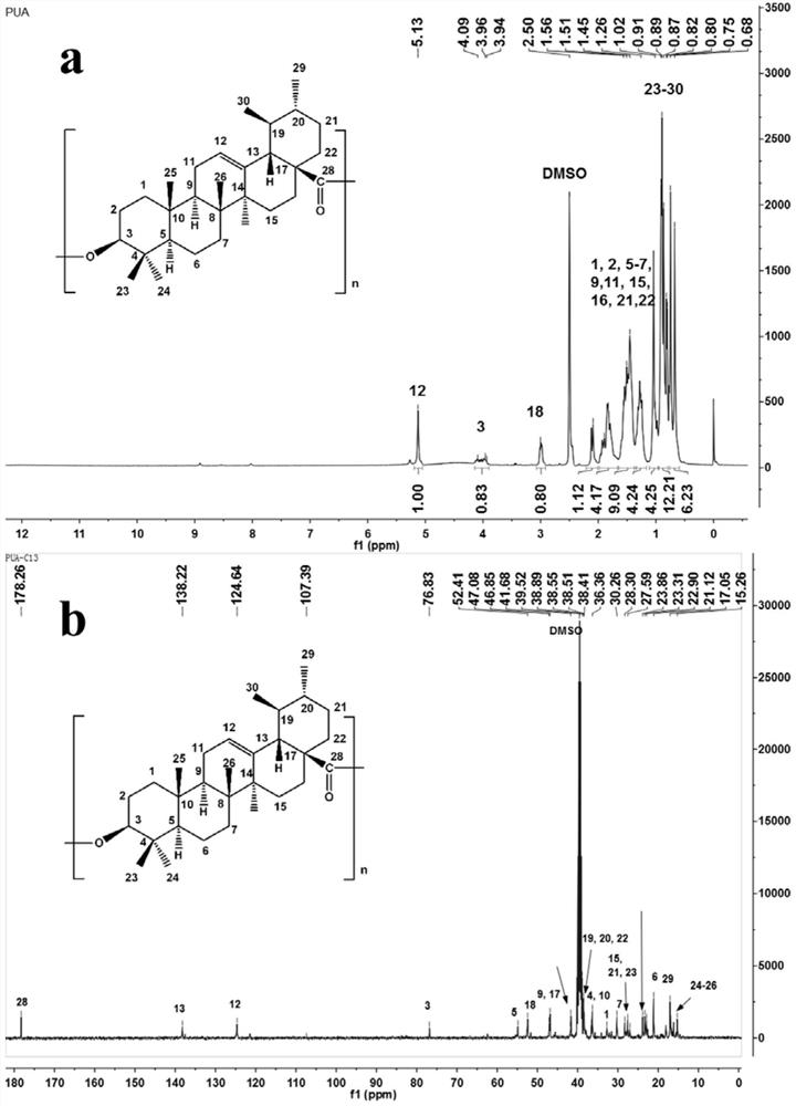 A kind of ursolic acid polymer drug-loaded nanoparticles and its preparation method and application