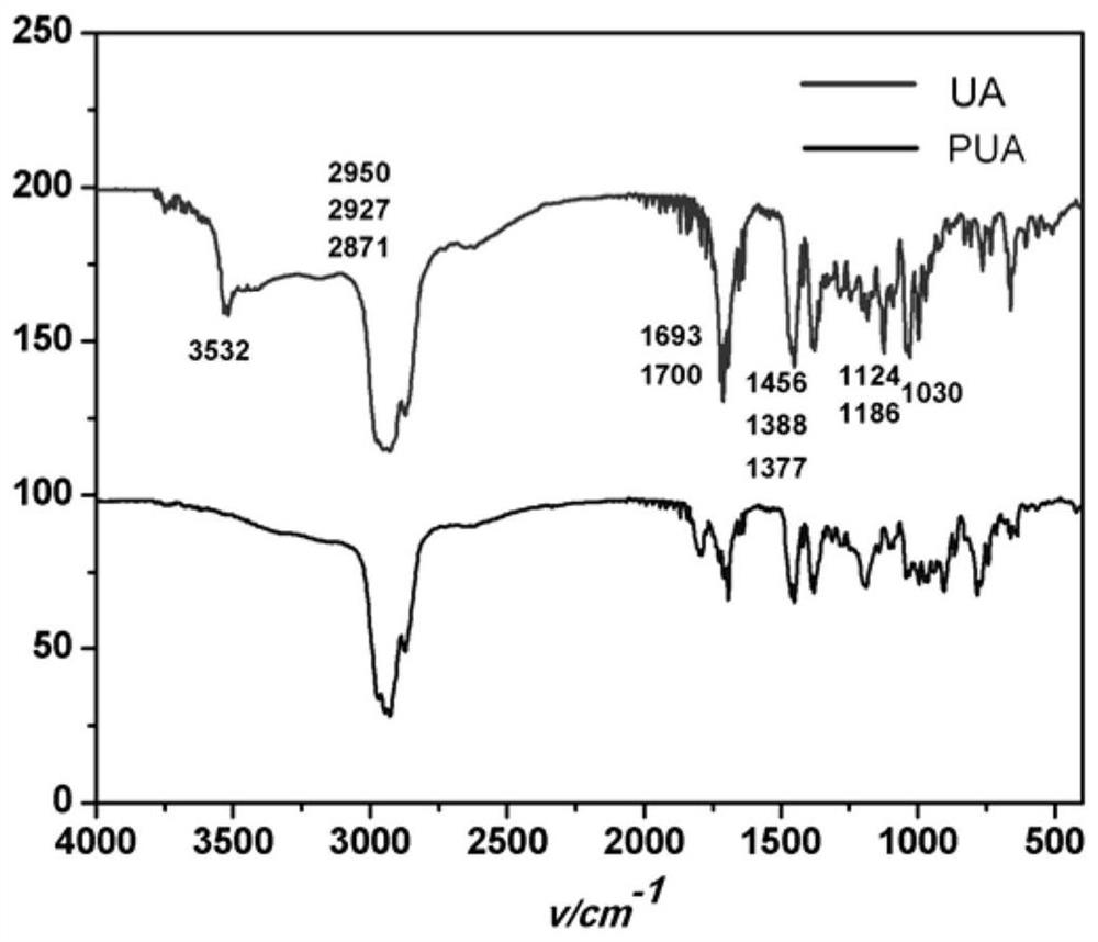 A kind of ursolic acid polymer drug-loaded nanoparticles and its preparation method and application