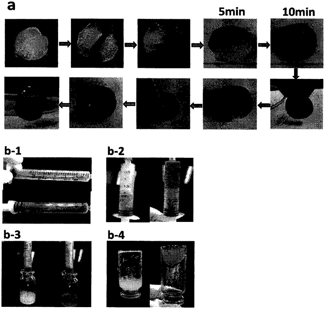 A temperature-sensitive self-healing hydrogel loaded with doxorubicin hydrochloride and its preparation method