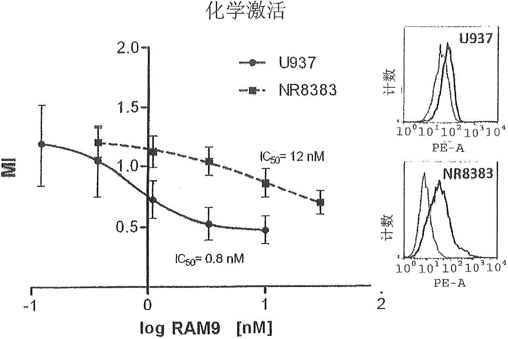 Anti-MIF antibody cell migration assay