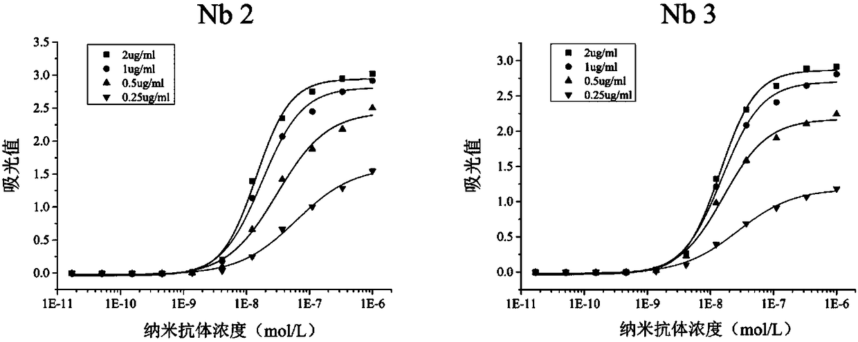 PD-1 nanoantibody as well as cloning and expression method and application thereof