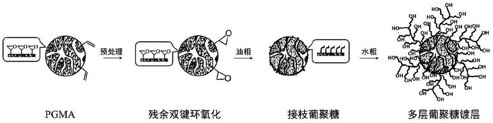 Hydrophilic modification method and modified material of polyglycidyl methacrylate or its copolymer