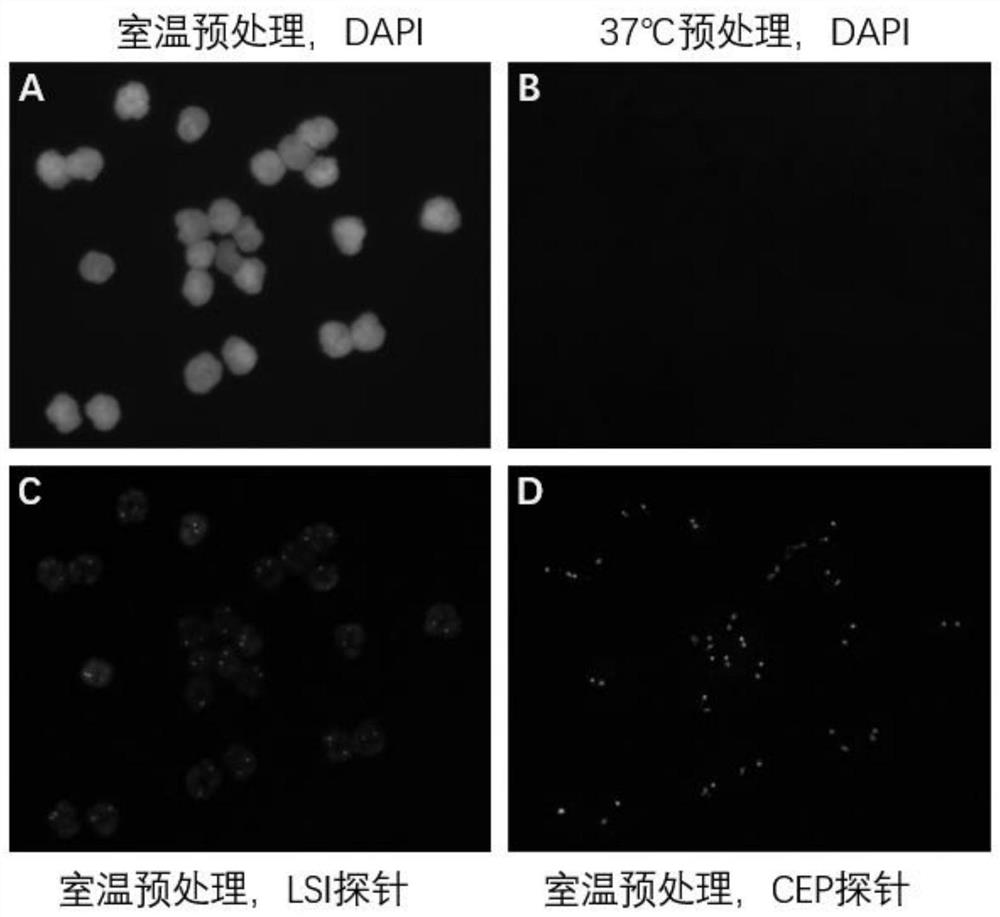 Pretreatment solution, kit and pretreatment method for fluorescence in situ hybridization (FISH) of cell sample