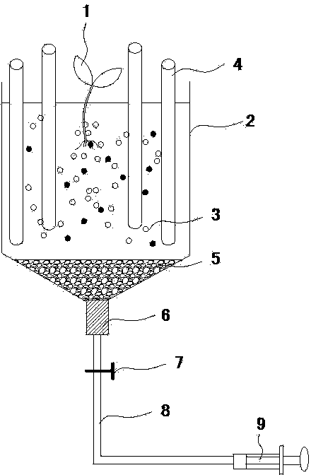 Collecting device and method of root exudates from xerophyte