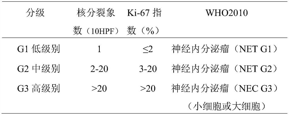 Application of biomarkers in the diagnosis of neuroendocrine tumors of the small intestine