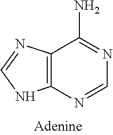 Low radiocarbon dietary supplements and foods and methods of making and using same