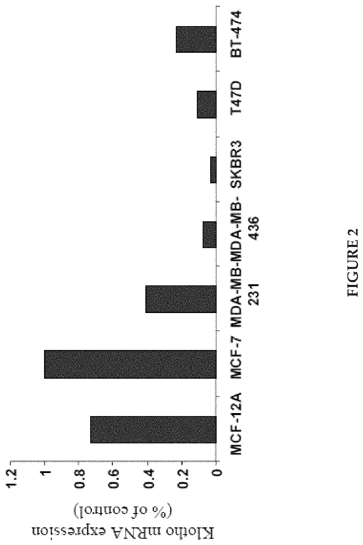 Klotho protein and related compounds for the treatment and diagnosis of cancer