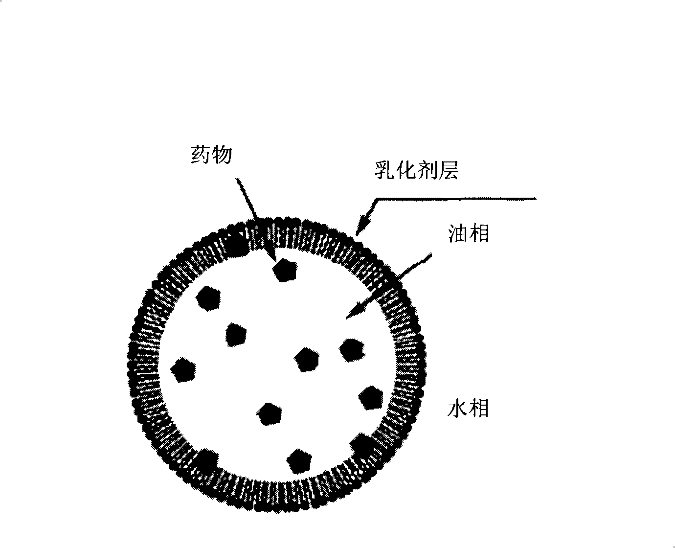 Medicine composition for injecting triamcinolone acetonide palmitate lipid microsphere and preparation method thereof