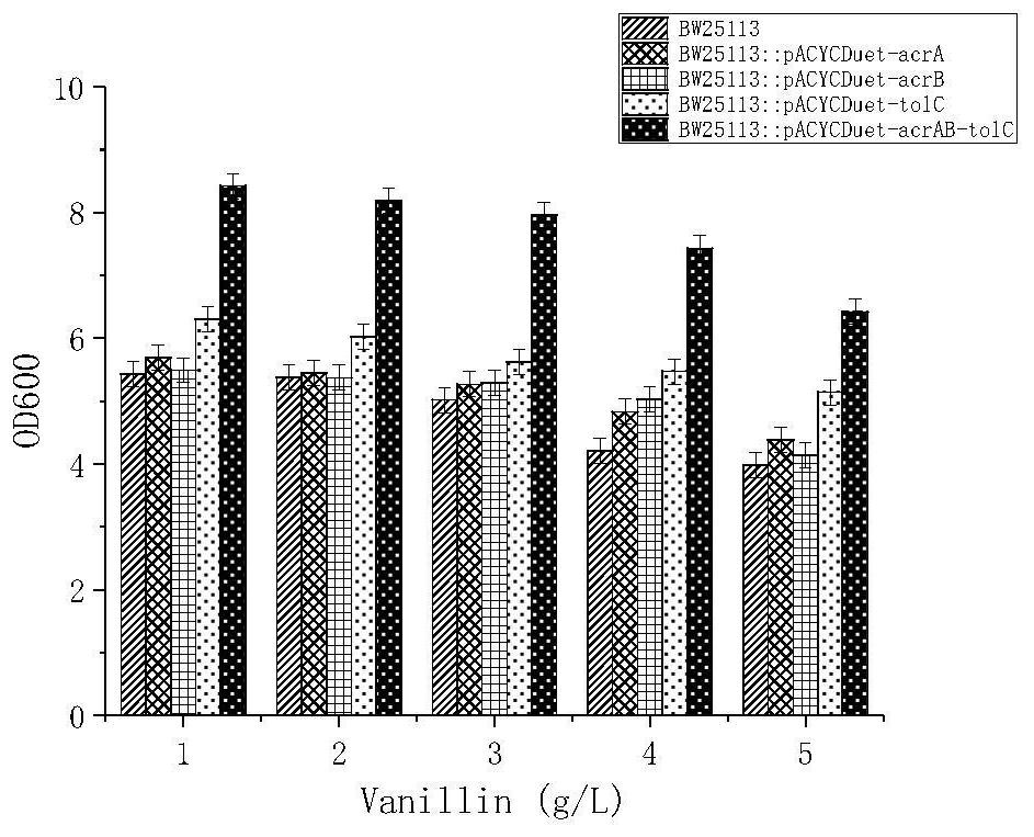 A kind of recombinant gene engineering bacterium and its fermentative application to produce vanillin