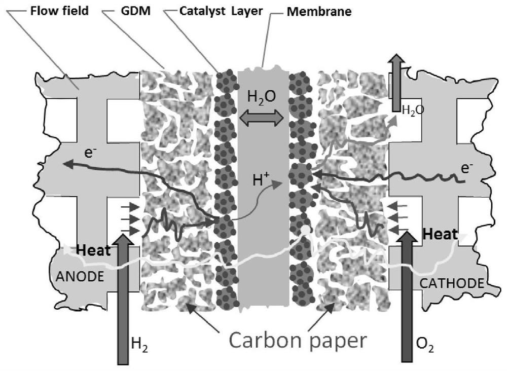 proton exchange membrane fuel cell