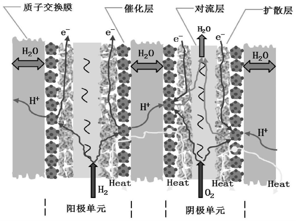 proton exchange membrane fuel cell