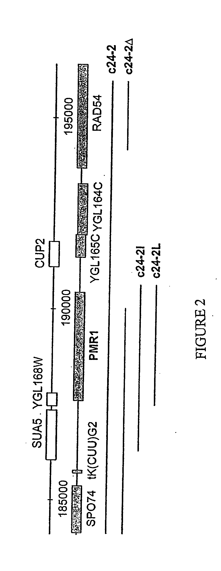 Manganese ion regulation of reverse transcriptase activity and methods of modulating same