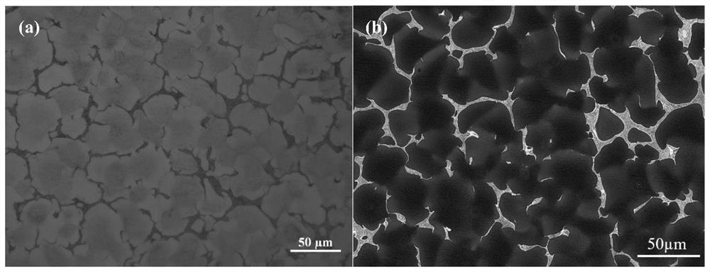 Method for preparing high strength and toughness magnesium rare earth alloy by selective laser melting additive manufacturing technology