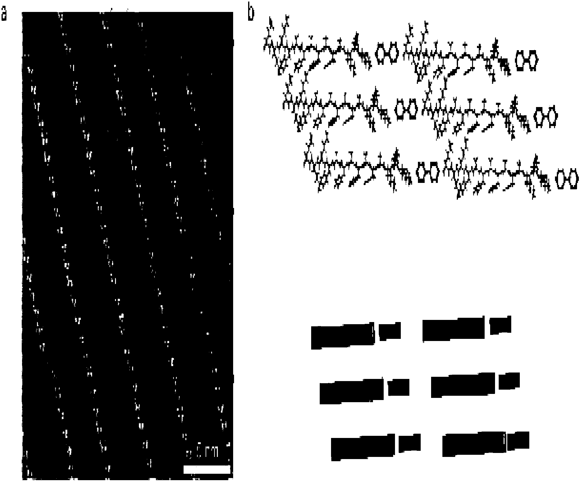 Method for forming two-dimensional polypeptide nanosheets by regulating assembly of polypeptides with organic micromolecules