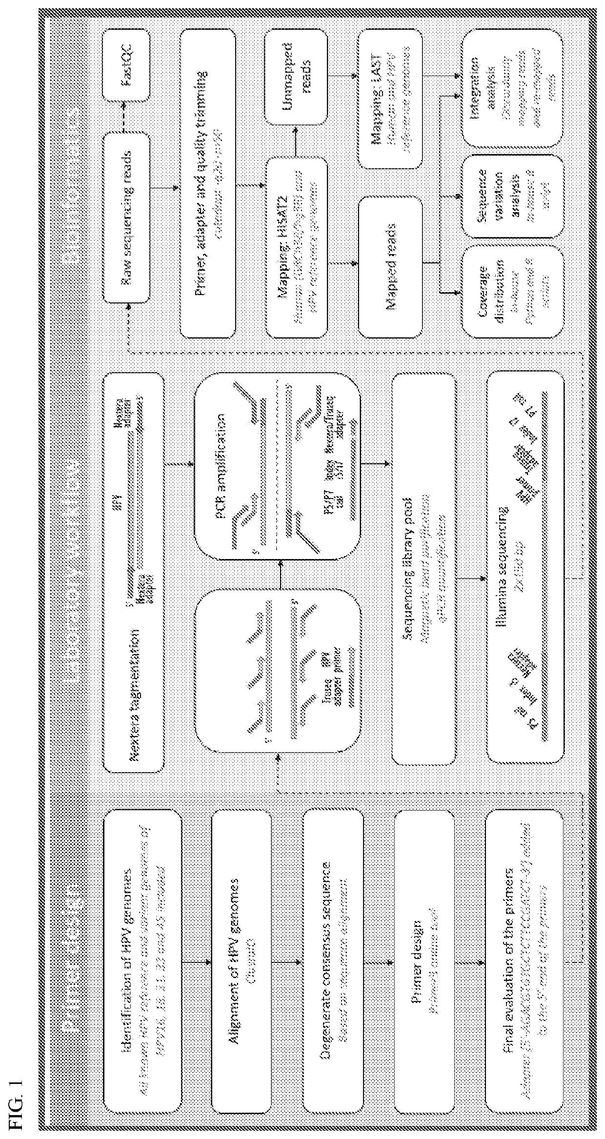 Tagmentation-associated multiplex PCR enrichment sequencing