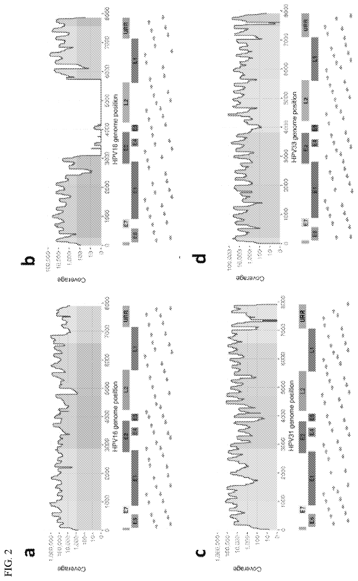 Tagmentation-associated multiplex PCR enrichment sequencing