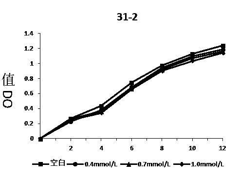 Screening method and application of lactic acid bacteria strains with antioxidant capacity