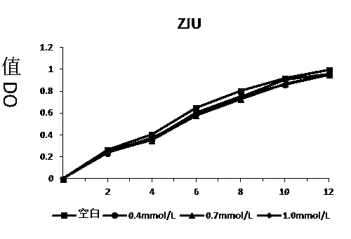 Screening method and application of lactic acid bacteria strains with antioxidant capacity