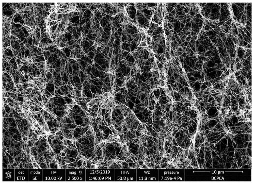 Bacterial cellulose membrane, breast patch thereof and preparation method