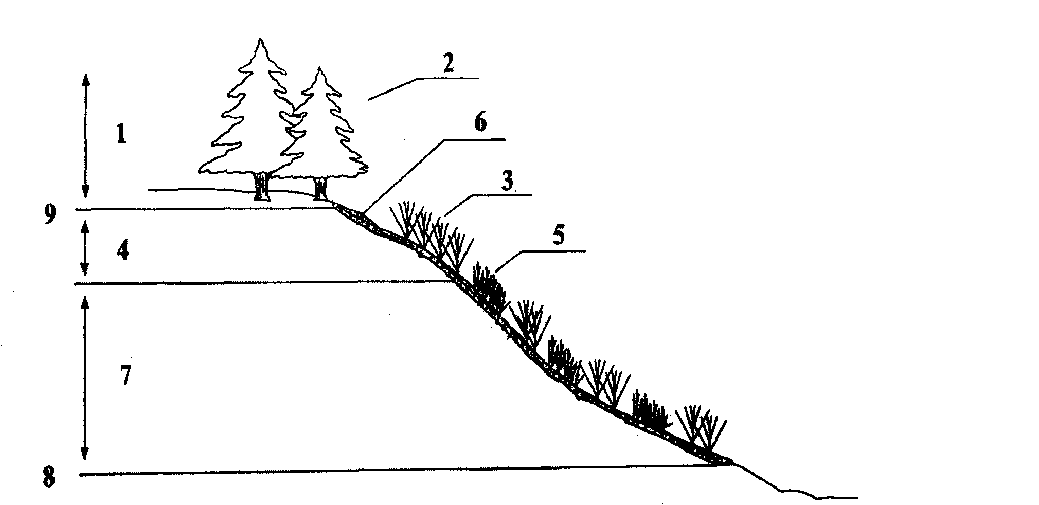 Restoration method for damaged ecosystem in steep-slope area in water-level-fluctuating zone of reservoir