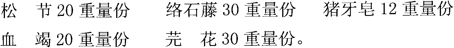 Traditional Chinese medicine (TCM) composition for treating Bi pain