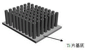Preparation method of biomimetic gecko composite microarray