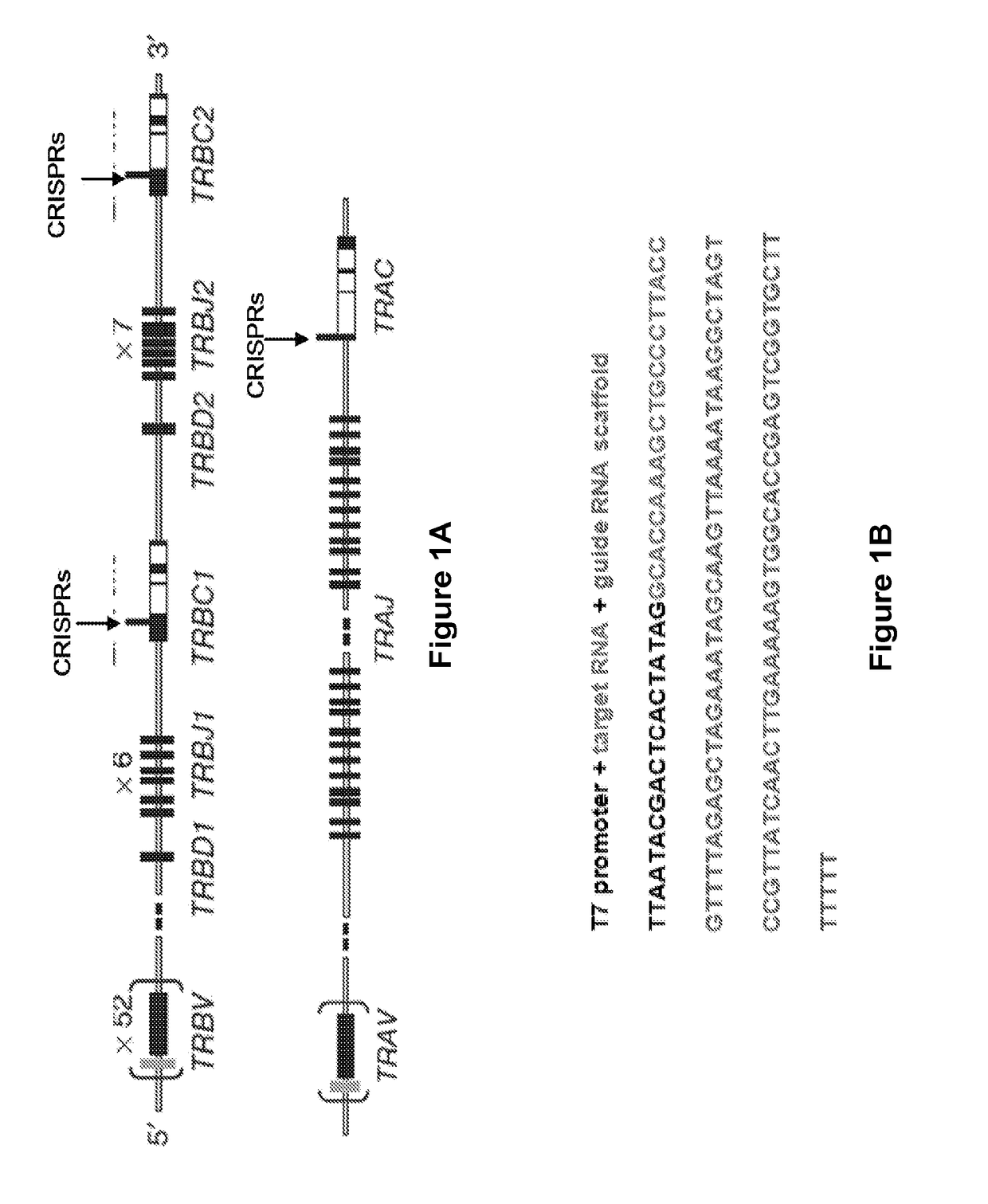 Altering Gene Expression in CART Cells and Uses Thereof