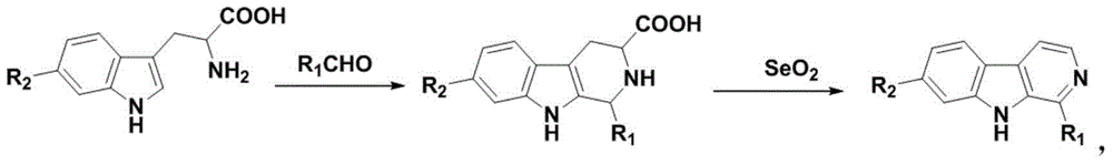 2-substituted-beta-carboline compounds and application thereof in preparing drugs for preventing or treating tumors