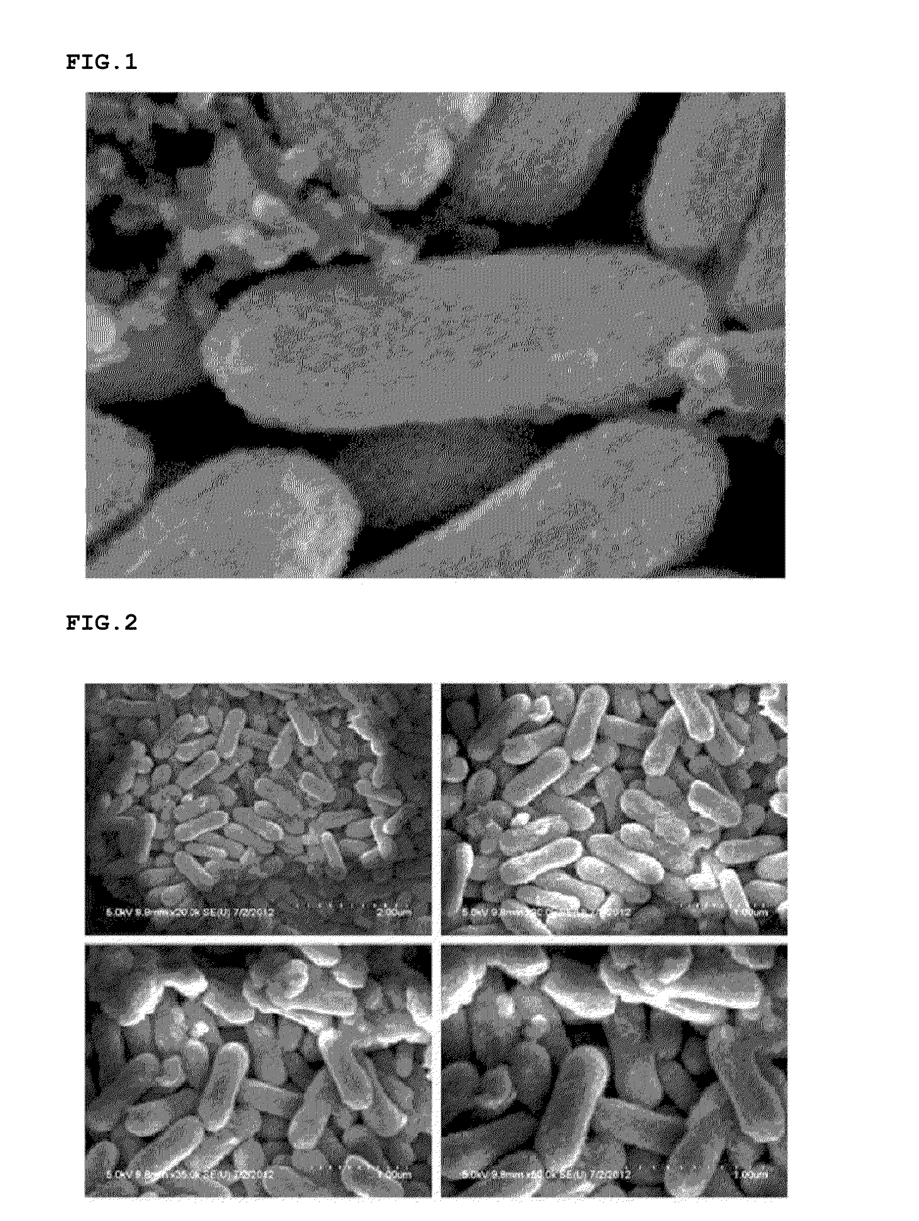 Method of preparing iron oxide nanoparticles