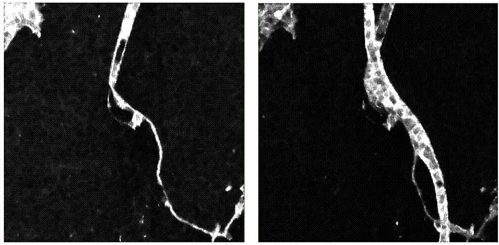 Unsupervised change detection method and device based on full polarization sequential SAR image